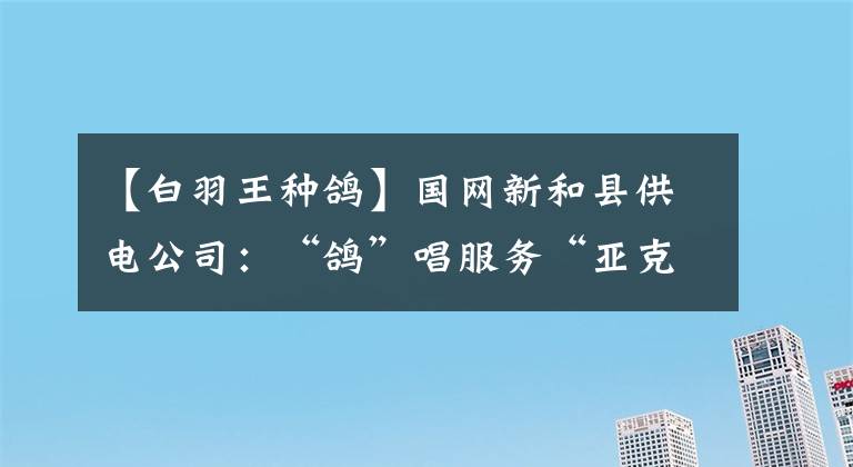 【白羽王種鴿】國(guó)網(wǎng)新和縣供電公司：“鴿”唱服務(wù)“亞克西”