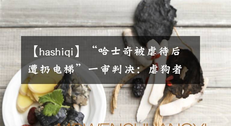 【hashiqi】“哈士奇被虐待后遭扔電梯”一審判決：虐狗者盜竊罪成立，拘役3個(gè)月并處罰金3000元