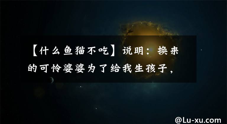 【什么魚貓不吃】說明：換來的可憐婆婆為了給我生孩子，經(jīng)歷了人類的屈辱和痛苦