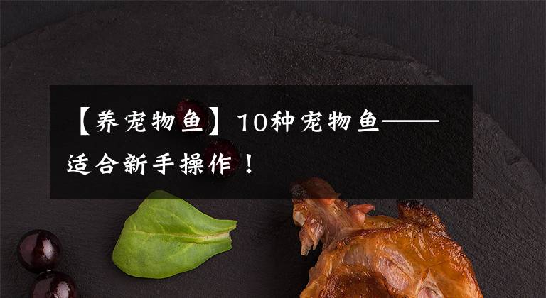 【養(yǎng)寵物魚】10種寵物魚——適合新手操作！