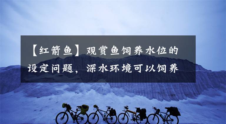 【紅箭魚(yú)】觀賞魚(yú)飼養(yǎng)水位的設(shè)定問(wèn)題，深水環(huán)境可以飼養(yǎng)孔雀魚(yú)、金魚(yú)嗎？