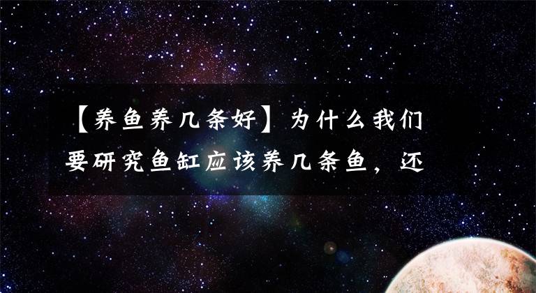 【養(yǎng)魚(yú)養(yǎng)幾條好】為什么我們要研究魚(yú)缸應(yīng)該養(yǎng)幾條魚(yú)，還有清道夫吃不吃屎的問(wèn)題？