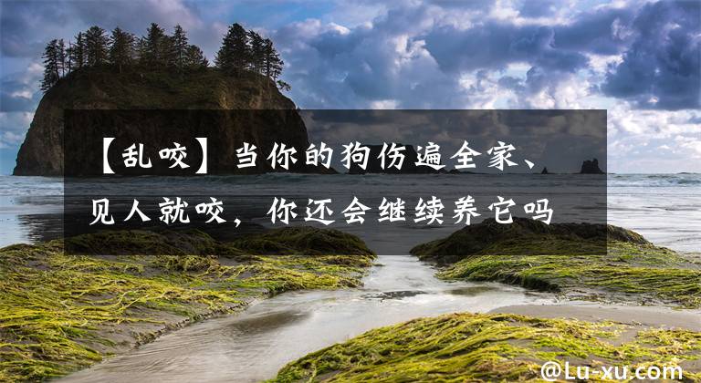 【亂咬】當(dāng)你的狗傷遍全家、見人就咬，你還會(huì)繼續(xù)養(yǎng)它嗎？「文末有禮」