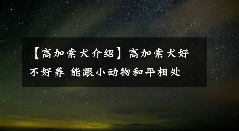 【高加索犬介紹】高加索犬好不好養(yǎng) 能跟小動(dòng)物和平相處