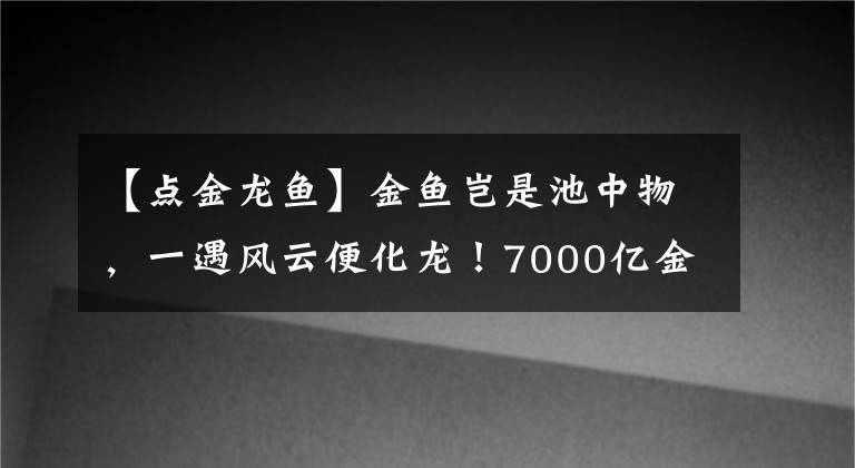 【點金龍魚】金魚豈是池中物，一遇風云便化龍！7000億金龍魚與海天味業(yè)的“油茅”之爭……