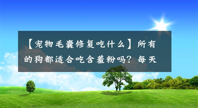 【寵物毛囊修復吃什么】所有的狗都適合吃含羞粉嗎？每天幾點注意，即使不好好想頭發(fā)也很難。