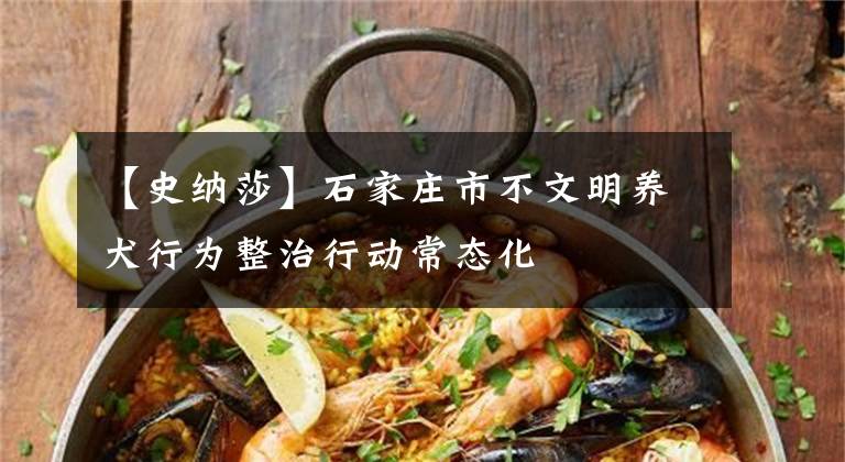 【史納莎】石家莊市不文明養(yǎng)犬行為整治行動(dòng)常態(tài)化