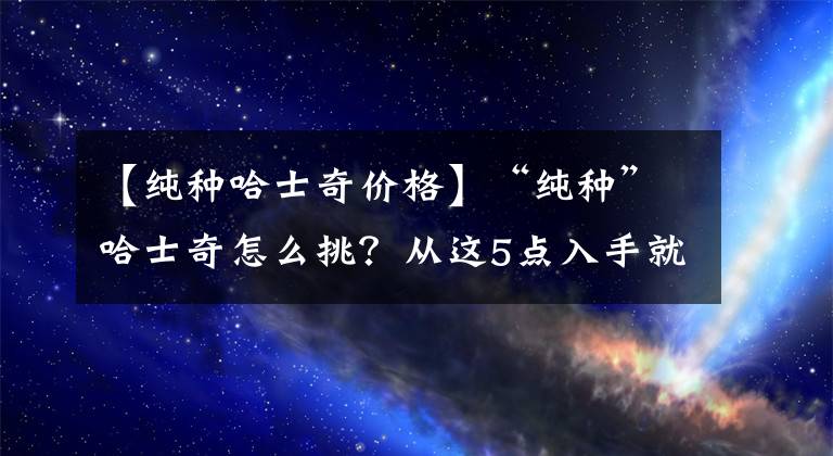 【純種哈士奇價(jià)格】“純種”哈士奇怎么挑？從這5點(diǎn)入手就好