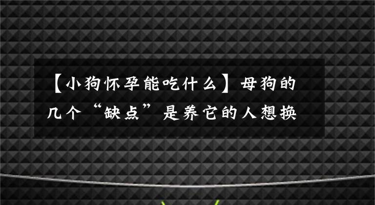 【小狗懷孕能吃什么】母狗的幾個(gè)“缺點(diǎn)”是養(yǎng)它的人想換狗也是理所當(dāng)然的。