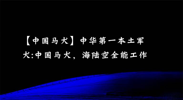 【中國馬犬】中華第一本土軍犬:中國馬犬，海陸空全能工作犬