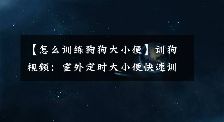 【怎么訓(xùn)練狗狗大小便】訓(xùn)狗視頻：室外定時(shí)大小便快速訓(xùn)練的方法