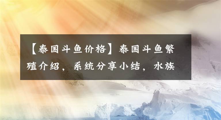 【泰國斗魚價格】泰國斗魚繁殖介紹，系統(tǒng)分享小結(jié)，水族養(yǎng)魚泰斗幼魚成魚飼養(yǎng)經(jīng)驗