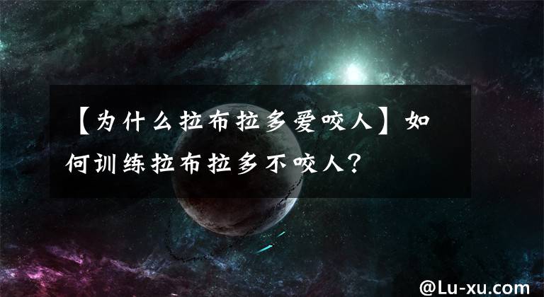 【為什么拉布拉多愛咬人】如何訓(xùn)練拉布拉多不咬人？