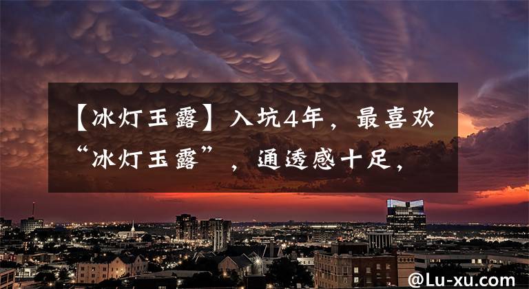 【冰燈玉露】入坑4年，最喜歡“冰燈玉露”，通透感十足，不怕水澇容易養(yǎng)