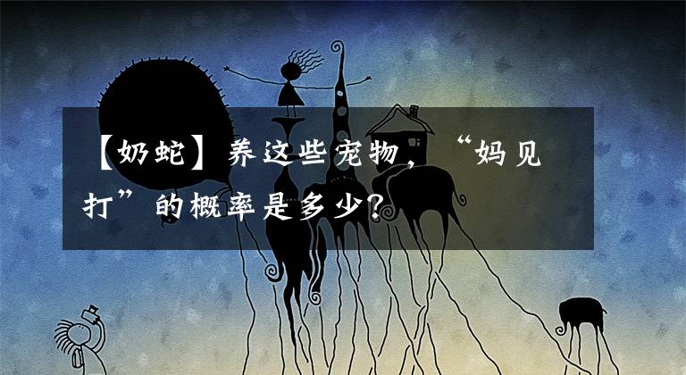 【奶蛇】養(yǎng)這些寵物，“媽見打”的概率是多少？