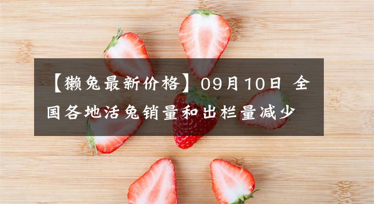 【獺兔最新價(jià)格】09月10日 全國各地活兔銷量和出欄量減少，價(jià)格漲跌博弈