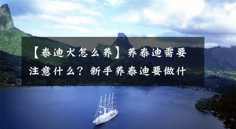 【泰迪犬怎么養(yǎng)】養(yǎng)泰迪需要注意什么？新手養(yǎng)泰迪要做什么準(zhǔn)備？