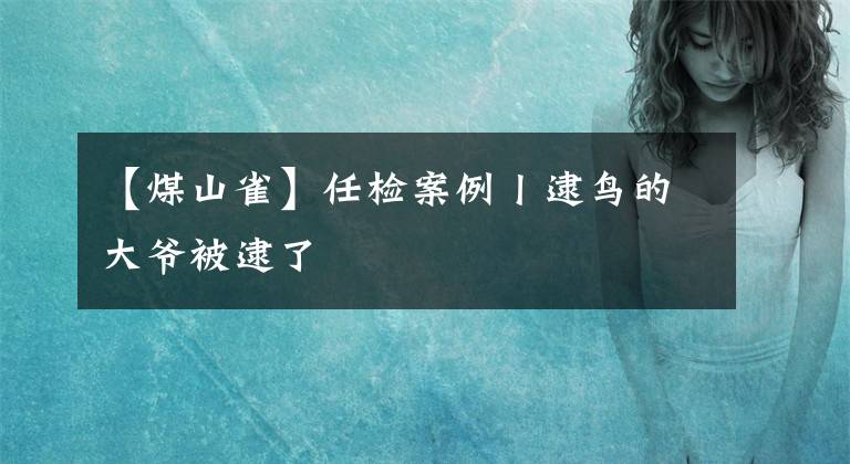 【煤山雀】任檢案例丨逮鳥的大爺被逮了