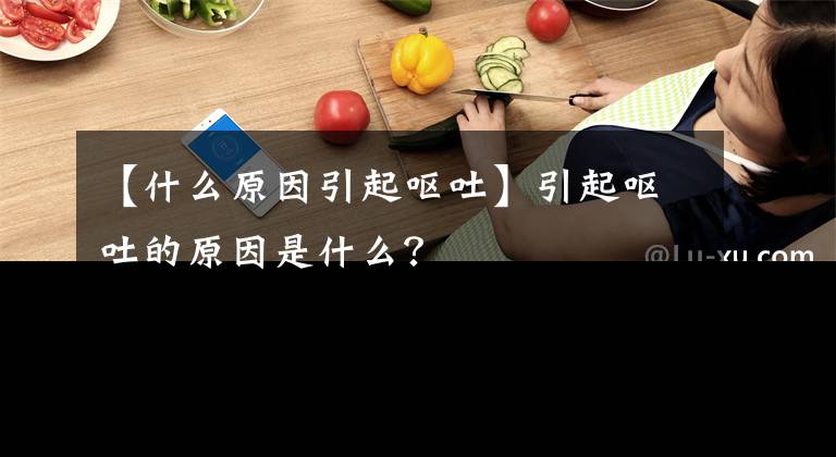 【什么原因引起嘔吐】引起嘔吐的原因是什么？