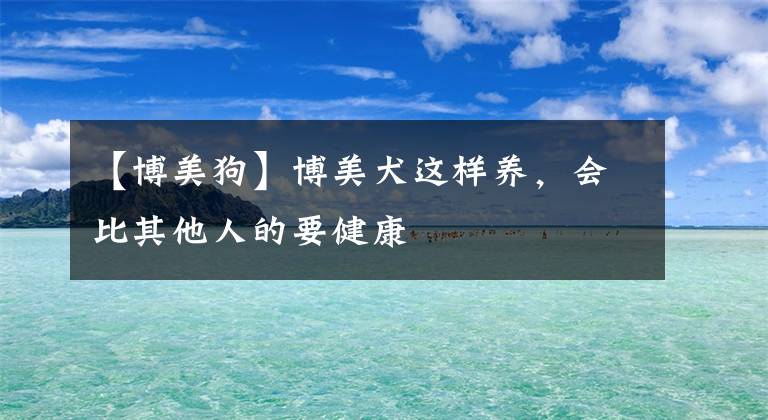 【博美狗】博美犬這樣養(yǎng)，會(huì)比其他人的要健康