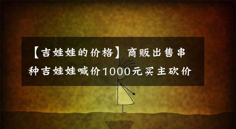 【吉娃娃的價格】商販出售串種吉娃娃喊價1000元買主砍價800元帶走商販還送籠子！