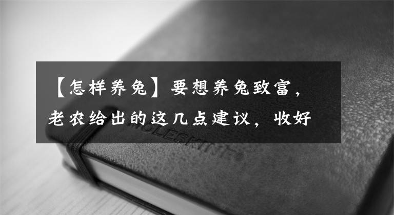 【怎樣養(yǎng)兔】要想養(yǎng)兔致富，老農(nóng)給出的這幾點(diǎn)建議，收好了