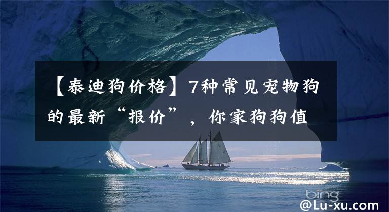 【泰迪狗價(jià)格】7種常見寵物狗的最新“報(bào)價(jià)”，你家狗狗值多少錢？