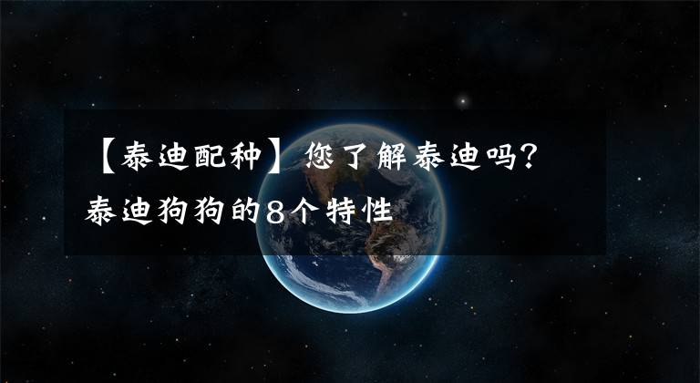 【泰迪配種】您了解泰迪嗎？泰迪狗狗的8個特性