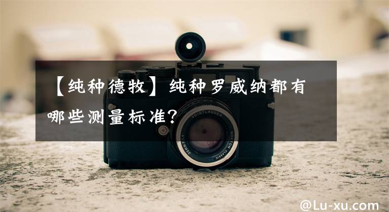 【純種德牧】純種羅威納都有哪些測(cè)量標(biāo)準(zhǔn)？