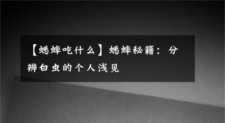 【蟋蟀吃什么】蟋蟀秘籍：分辨白蟲(chóng)的個(gè)人淺見(jiàn)