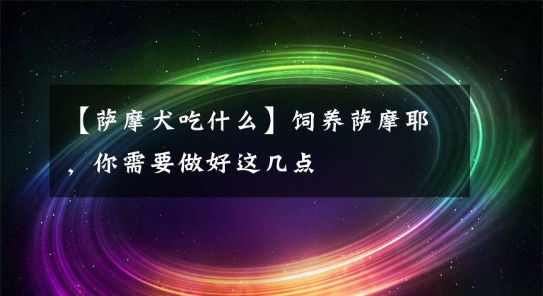 【薩摩犬吃什么】飼養(yǎng)薩摩耶，你需要做好這幾點(diǎn)