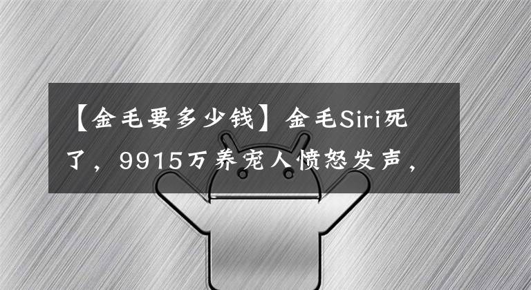 【金毛要多少錢】金毛Siri死了，9915萬養(yǎng)寵人憤怒發(fā)聲，狗不只是一件貨物