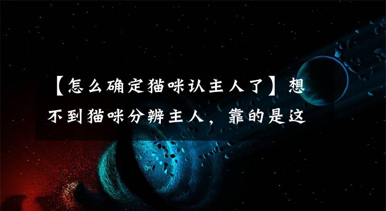 【怎么確定貓咪認(rèn)主人了】想不到貓咪分辨主人，靠的是這幾個(gè)方法