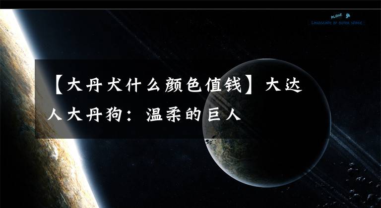 【大丹犬什么顏色值錢】大達人大丹狗：溫柔的巨人