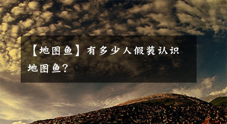 【地圖魚】有多少人假裝認識地圖魚？