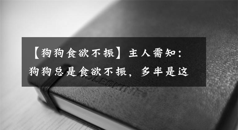 【狗狗食欲不振】主人需知：狗狗總是食欲不振，多半是這7個(gè)緣由