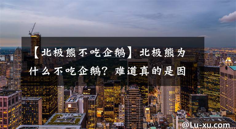 【北極熊不吃企鵝】北極熊為什么不吃企鵝？難道真的是因?yàn)槌圆坏絾?？答案并不是?></a></div> <div   id=