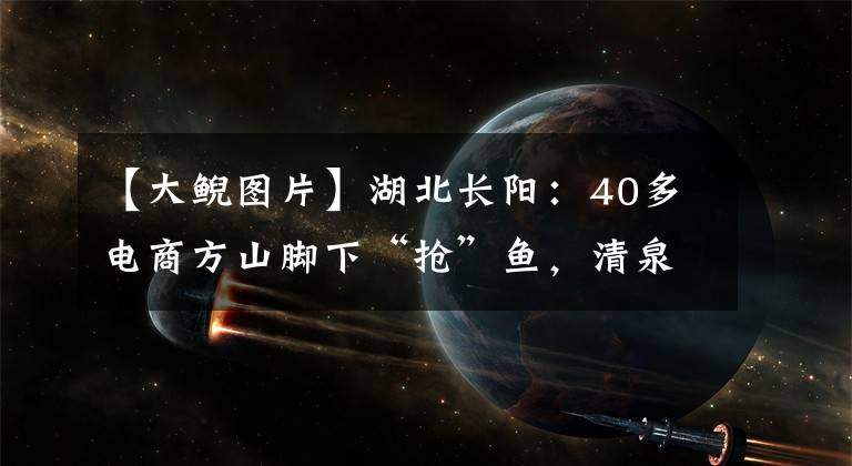 【大鯢圖片】湖北長陽：40多電商方山腳下“搶”魚，清泉養(yǎng)的娃娃魚，你吃過嗎？