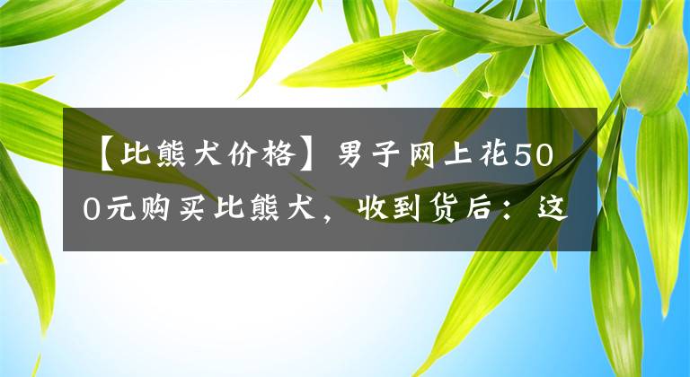 【比熊犬價格】男子網(wǎng)上花500元購買比熊犬，收到貨后：這只比熊是低配版？