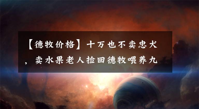 【德牧價格】十萬也不賣忠犬，賣水果老人撿回德牧喂養(yǎng)九年，每天一起收攤回家