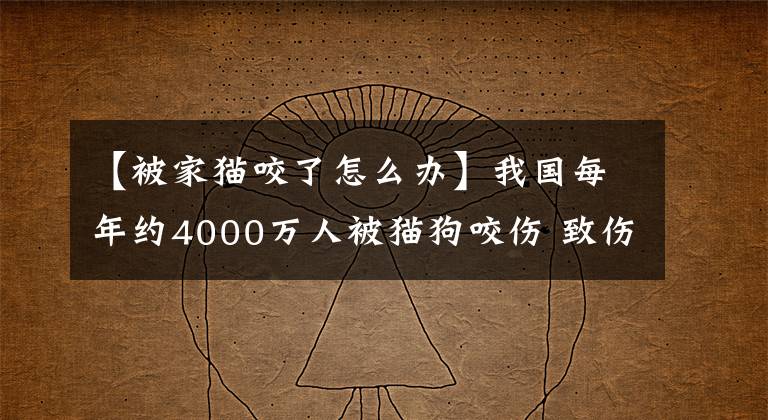 【被家貓咬了怎么辦】我國每年約4000萬人被貓狗咬傷 致傷后如何規(guī)范處置？