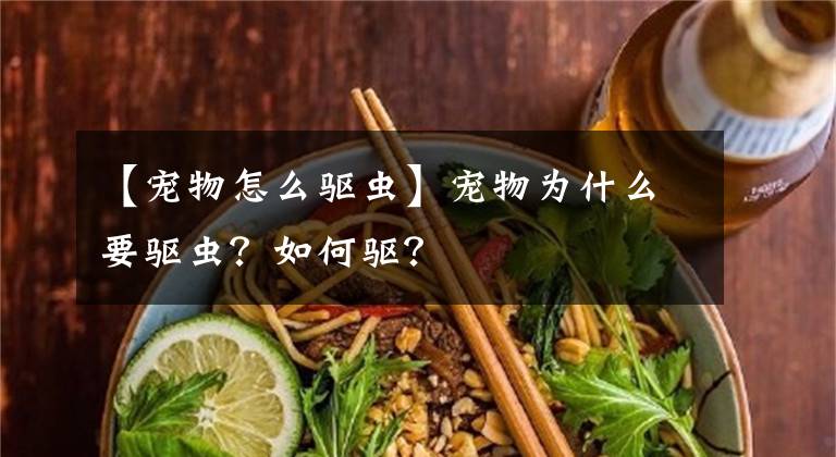 【寵物怎么驅(qū)蟲】寵物為什么要驅(qū)蟲？如何驅(qū)？