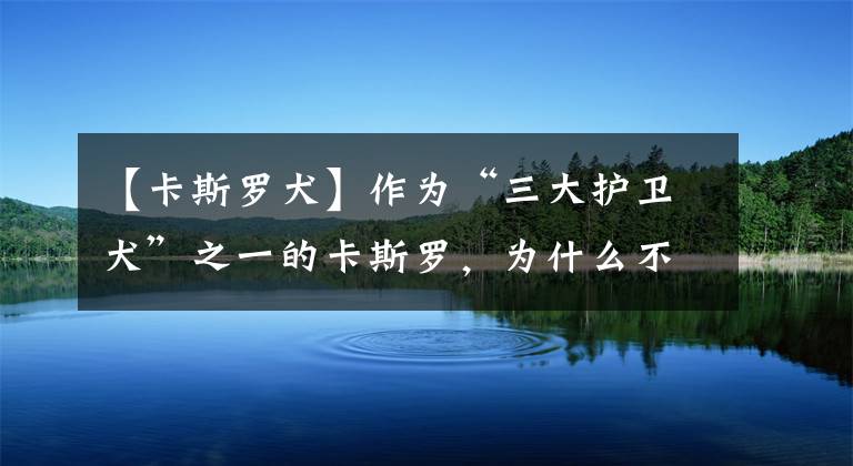 【卡斯羅犬】作為“三大護衛(wèi)犬”之一的卡斯羅，為什么不常見