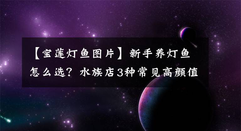 【寶蓮燈魚(yú)圖片】新手養(yǎng)燈魚(yú)怎么選？水族店3種常見(jiàn)高顏值品種，讓水草缸提升檔次