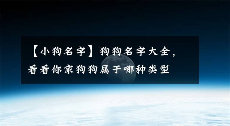 【小狗名字】狗狗名字大全，看看你家狗狗屬于哪種類型