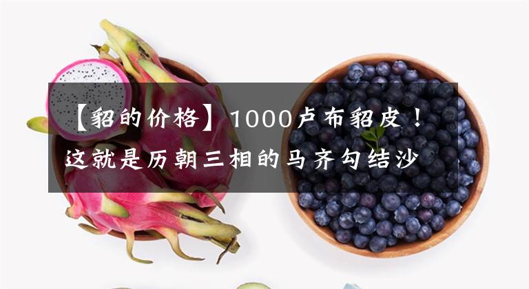 【貂的價格】1000盧布貂皮！這就是歷朝三相的馬齊勾結(jié)沙俄、出賣清朝的價格