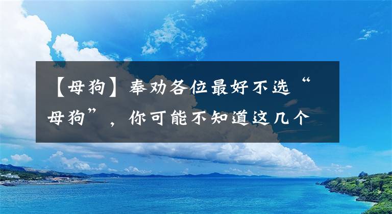 【母狗】奉勸各位最好不選“母狗”，你可能不知道這幾個原因