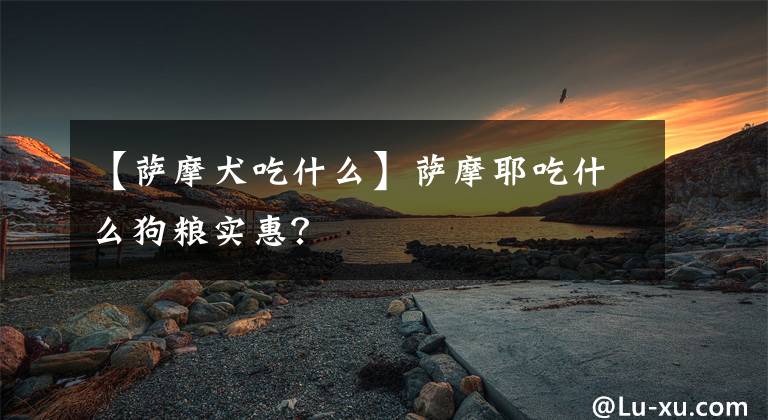 【薩摩犬吃什么】薩摩耶吃什么狗糧實惠？