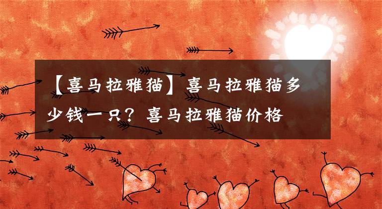 【喜馬拉雅貓】喜馬拉雅貓多少錢(qián)一只？喜馬拉雅貓價(jià)格