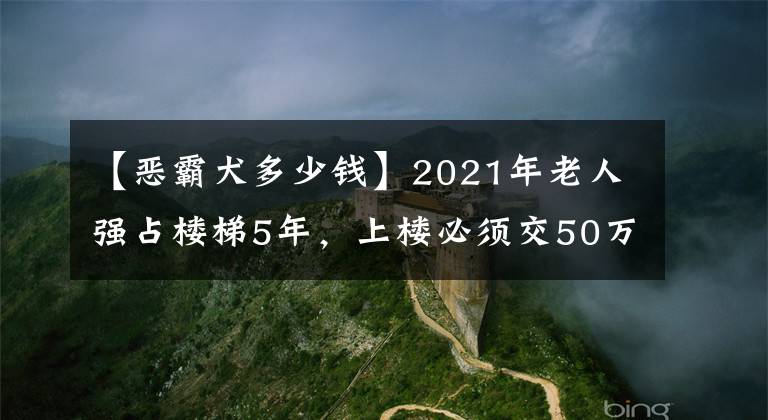 【惡霸犬多少錢】2021年老人強占樓梯5年，上樓必須交50萬過路費，法院來了都沒用